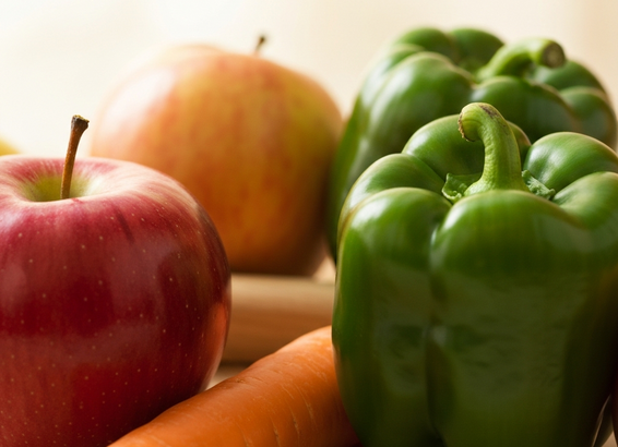 WordPress Plugin Development Guide